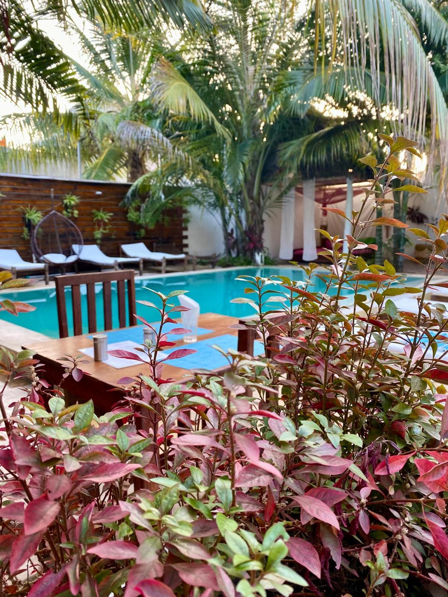 פאג'ה Cezere The Palm Hotel מראה חיצוני תמונה