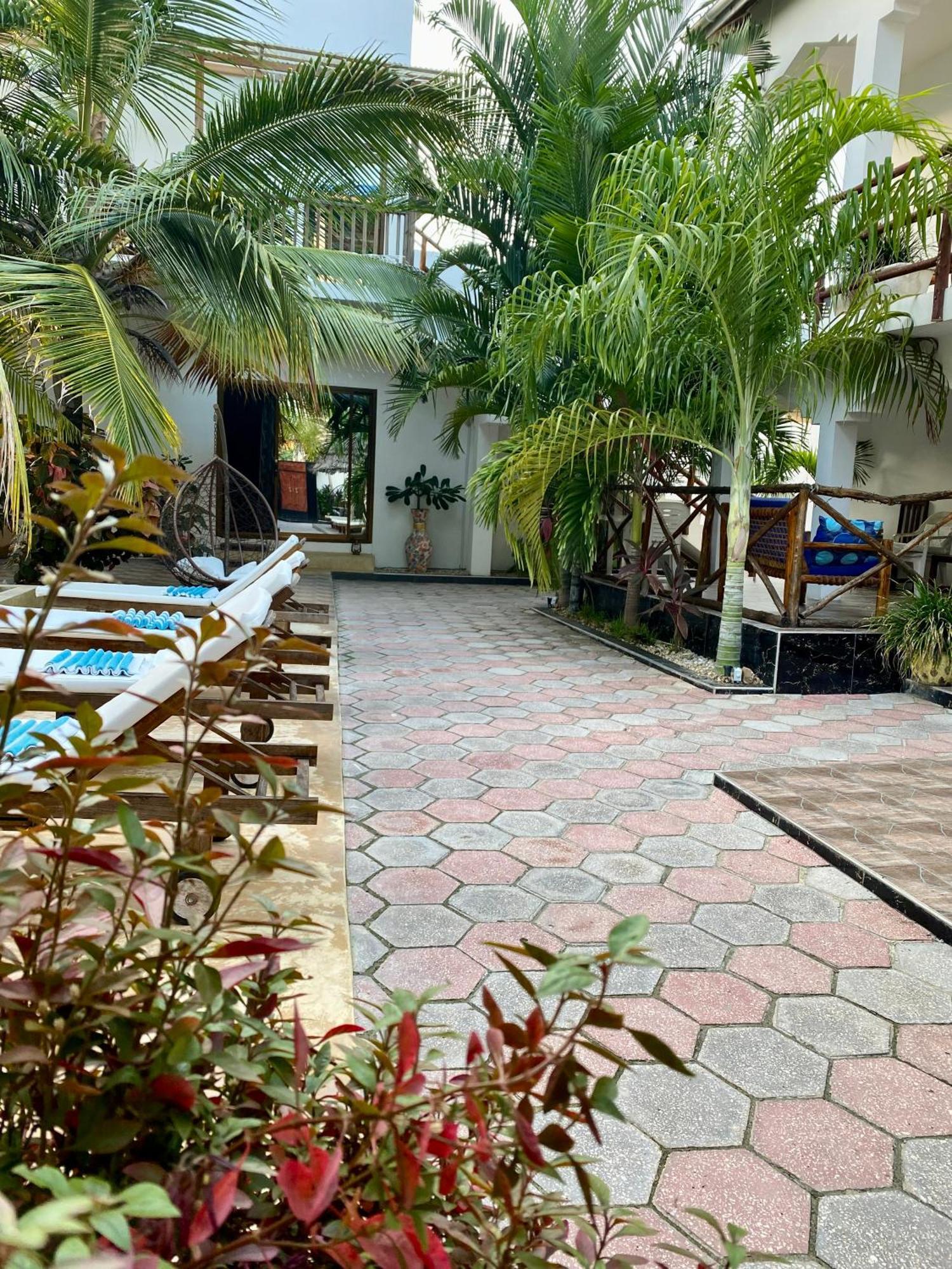 פאג'ה Cezere The Palm Hotel מראה חיצוני תמונה