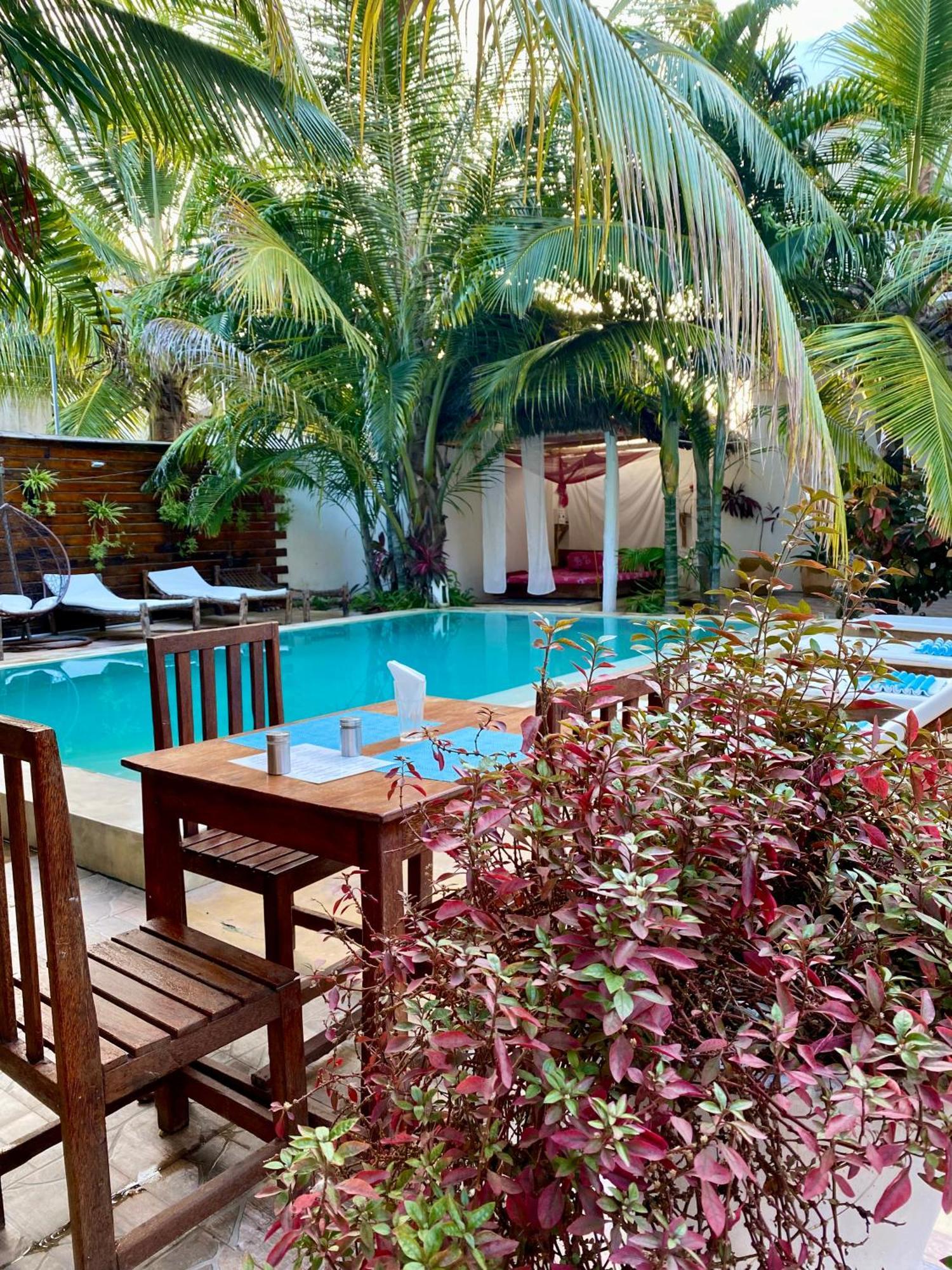 פאג'ה Cezere The Palm Hotel מראה חיצוני תמונה