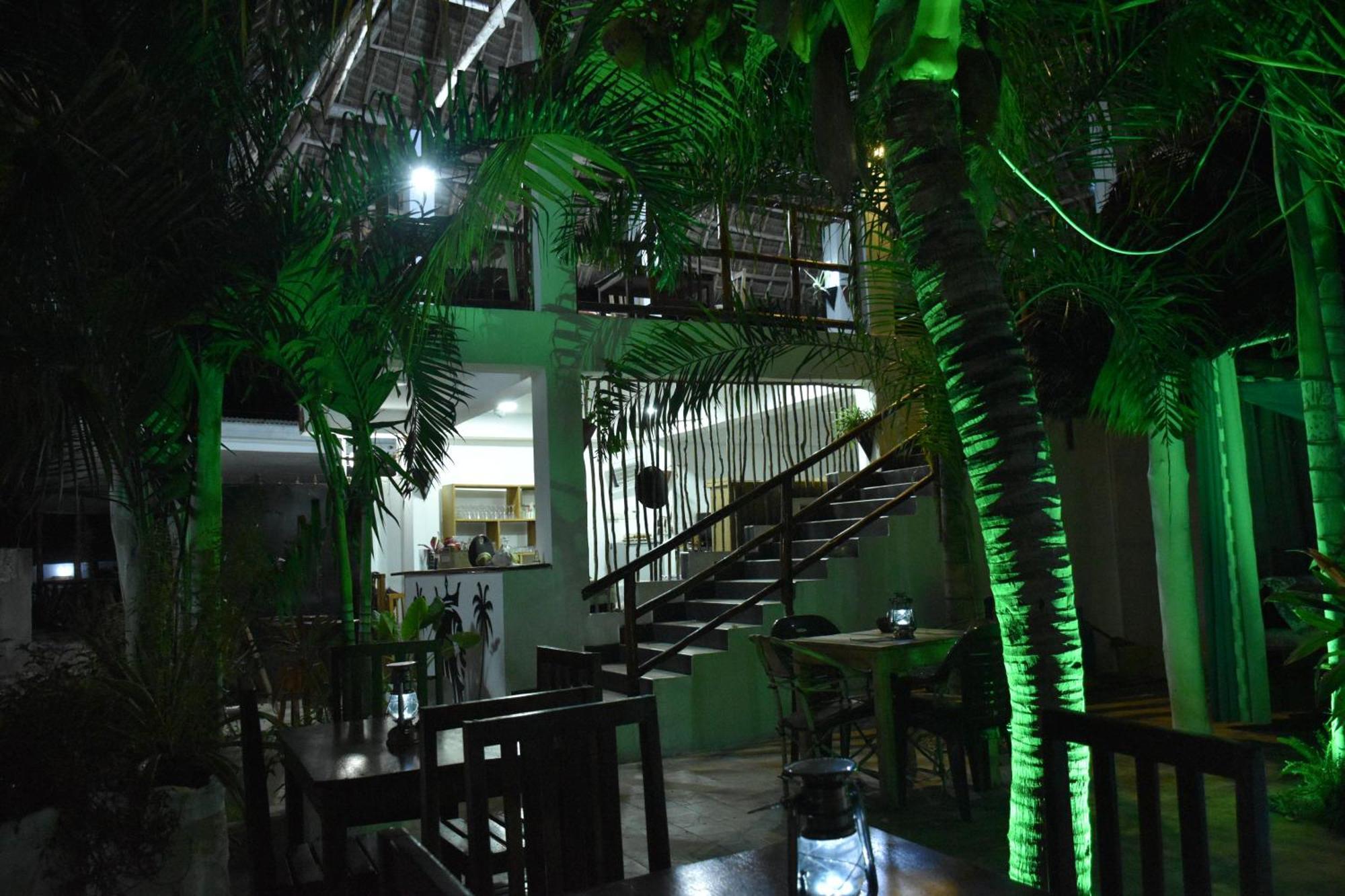 פאג'ה Cezere The Palm Hotel מראה חיצוני תמונה
