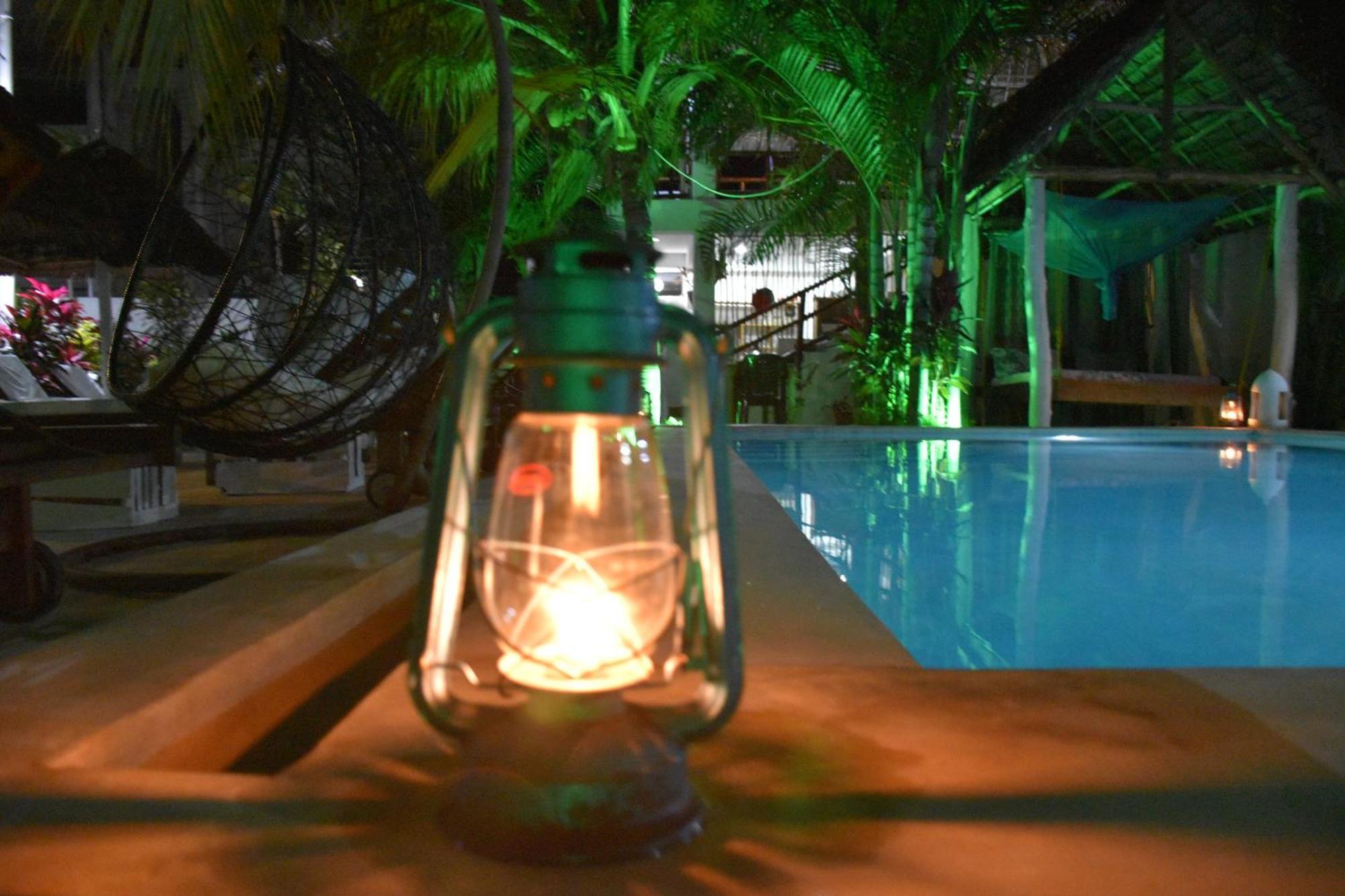 פאג'ה Cezere The Palm Hotel מראה חיצוני תמונה