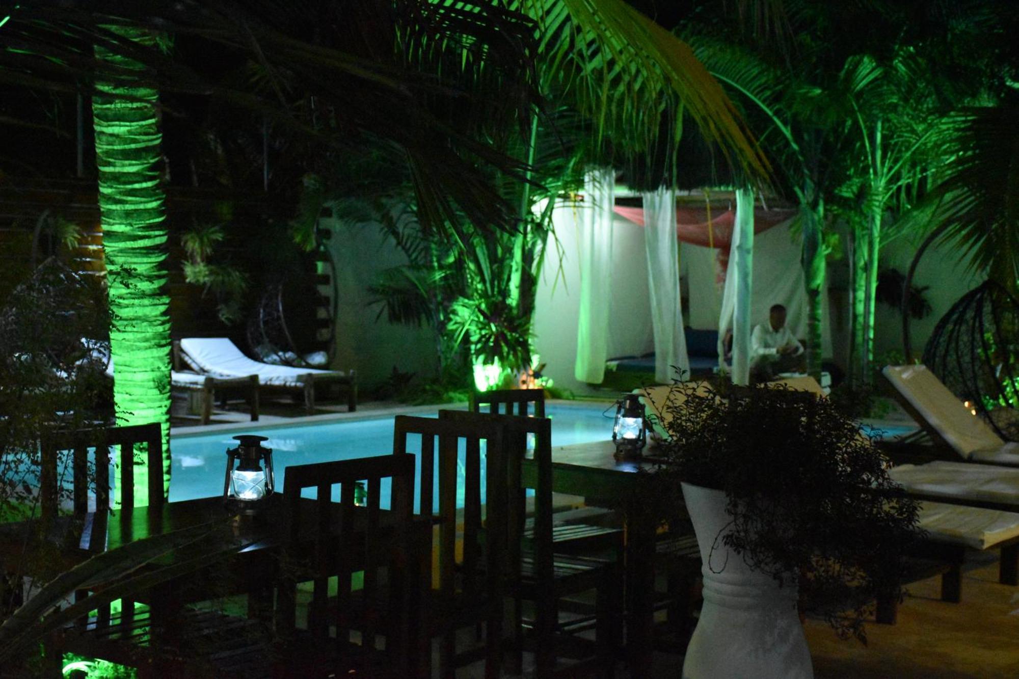 פאג'ה Cezere The Palm Hotel מראה חיצוני תמונה