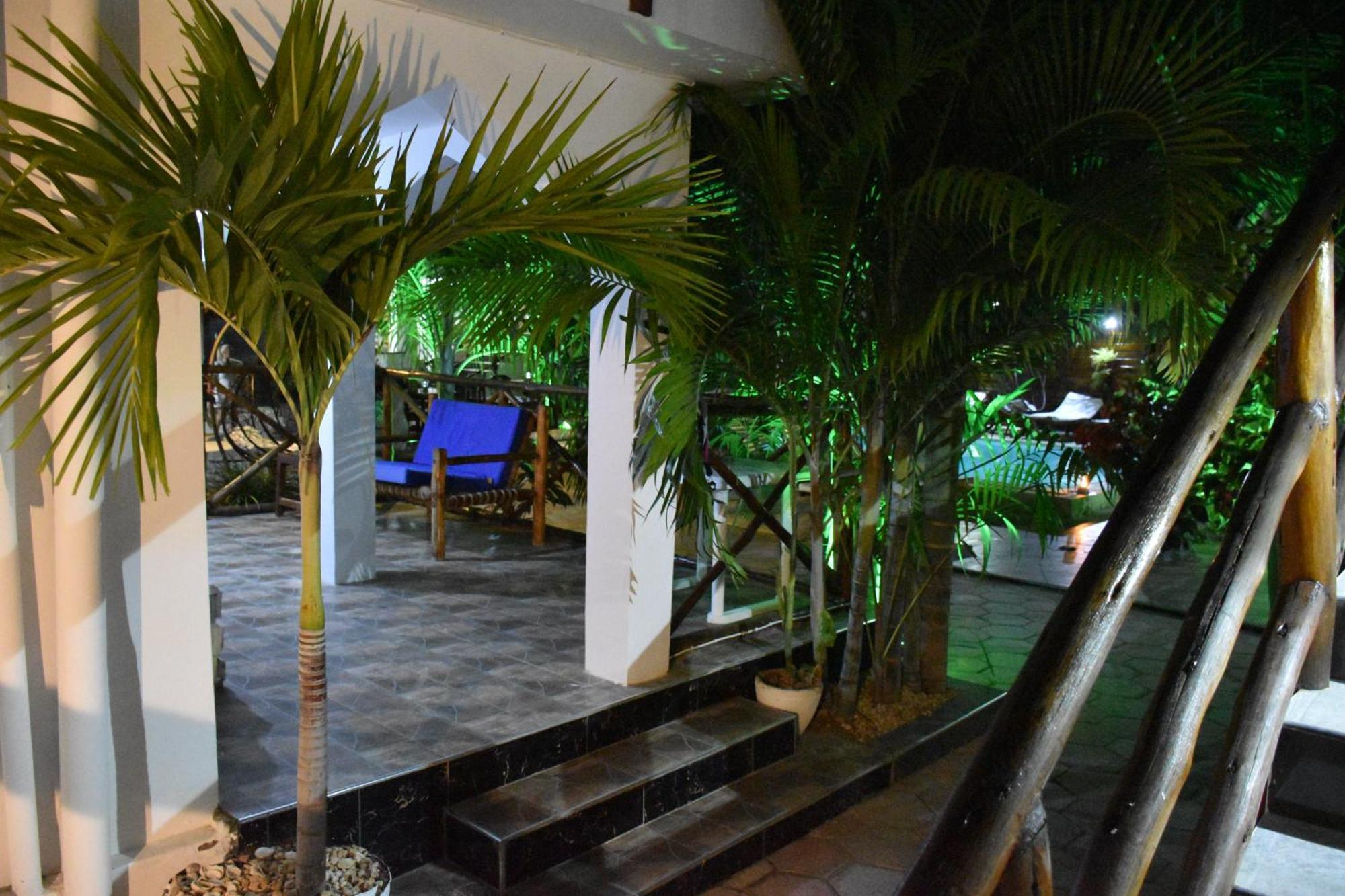 פאג'ה Cezere The Palm Hotel מראה חיצוני תמונה