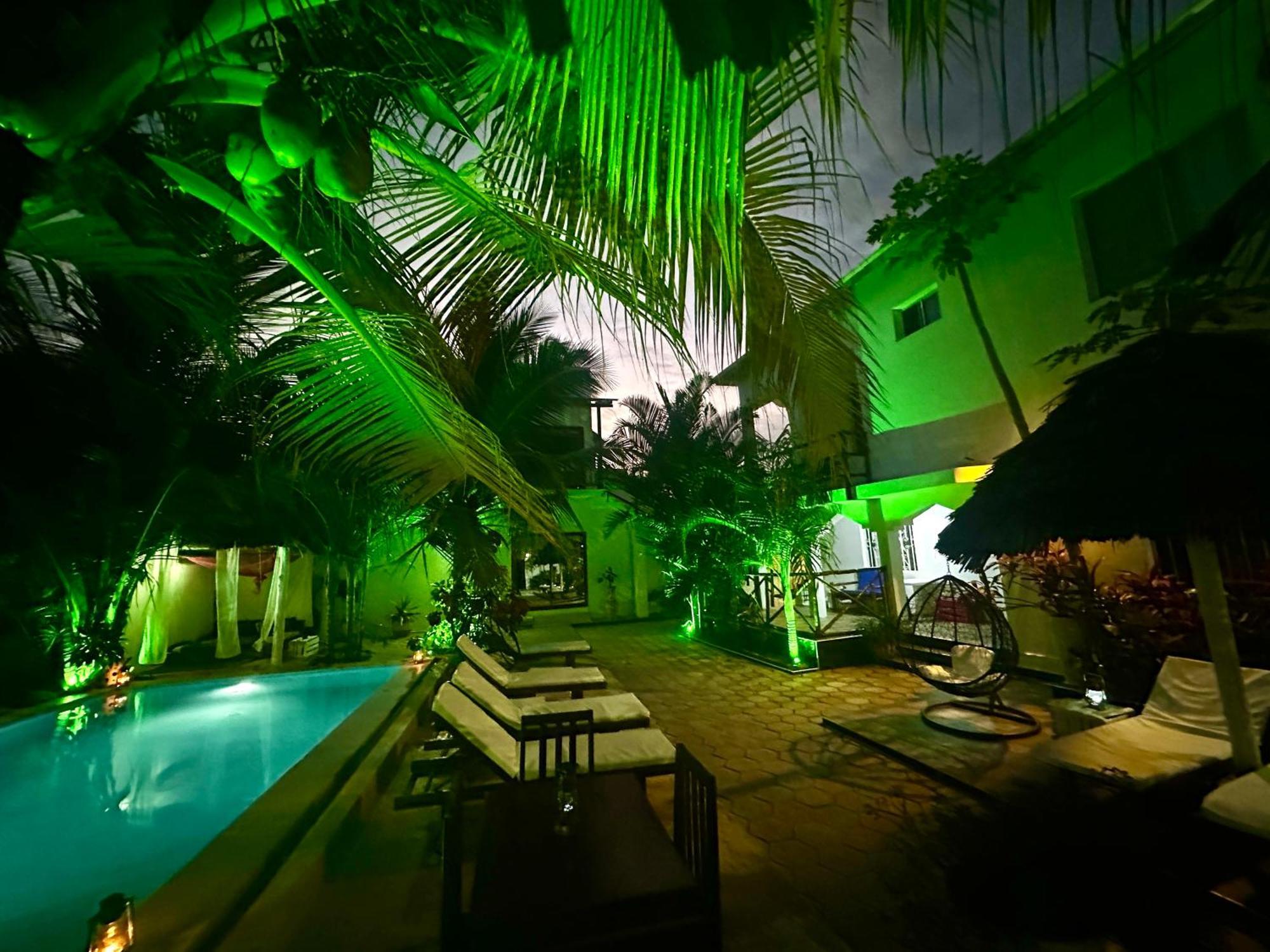 פאג'ה Cezere The Palm Hotel מראה חיצוני תמונה