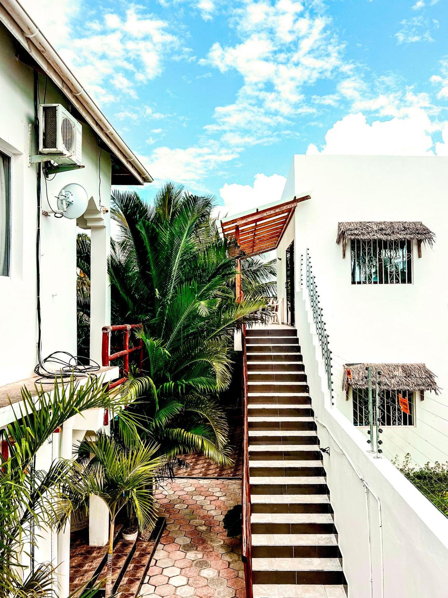פאג'ה Cezere The Palm Hotel מראה חיצוני תמונה