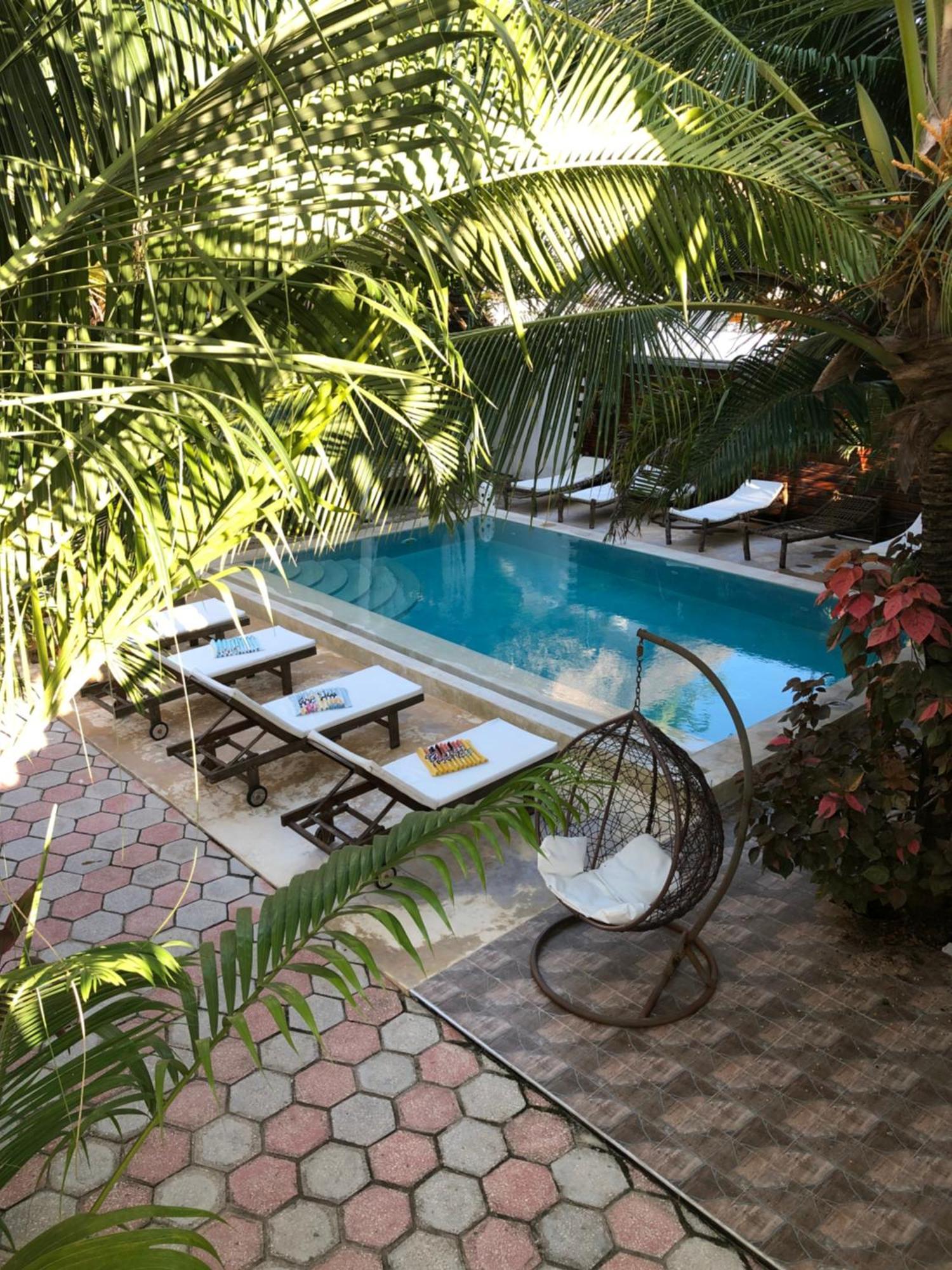 פאג'ה Cezere The Palm Hotel מראה חיצוני תמונה